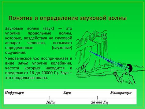 Раздел 1: Звуковые сигналы и их значение