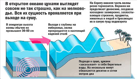 Раздел 1: Что такое мод цунами?