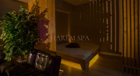 Раздел 5: SPA-программы и комплексы