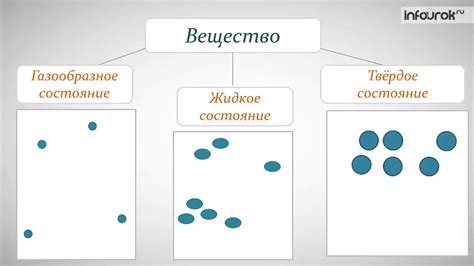 Различия в молекулярном строении