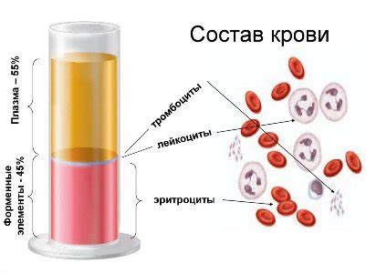 Различные компоненты крови