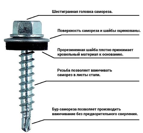 Размеры и типы шурупов