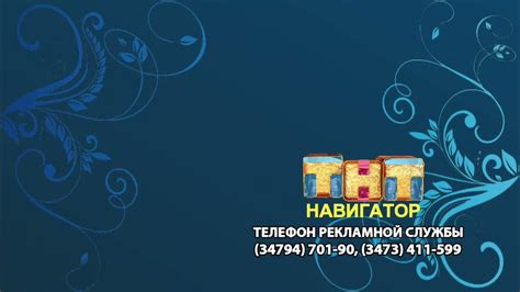 Размещение и подготовка тнт