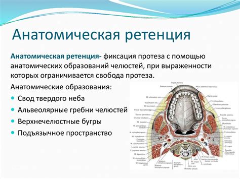 Разновидности каналов фиксации и их применение