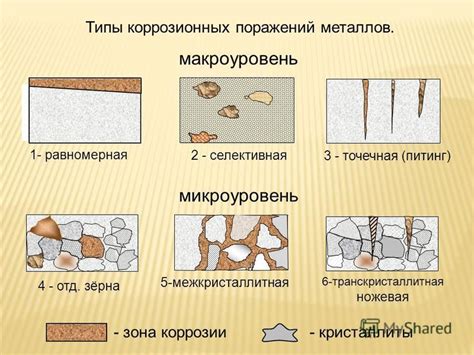 Разновидности коррозии