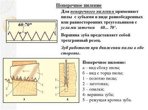 Разновидности обушковых пил и их особенности