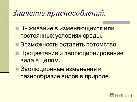 Разнообразие видов приспособлений