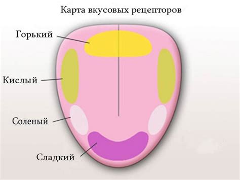 Разнообразие картинок для каждого вкуса