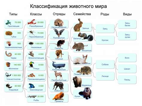 Разнообразие модов на различные виды животных: от питомцев до диких существ