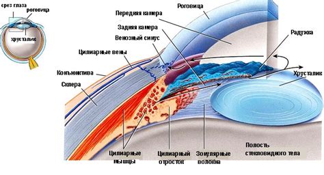 Разнообразные функции основной камеры