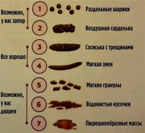 Распознавание запаха кала на металл