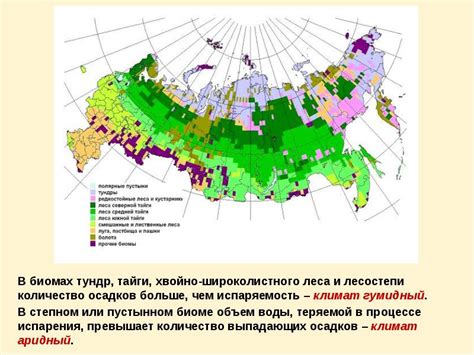 Распределение и размещение пищи в биомах