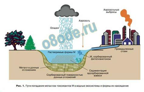 Распространение тяжелых металлов в природной воде