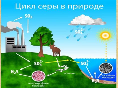 Распространение фосфора в природе