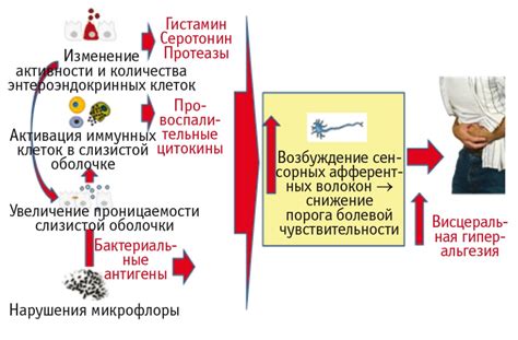 Расстройства желудочно-кишечного тракта, вызванные воздействием металлов