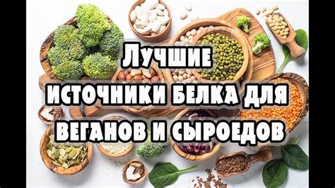 Растительные источники