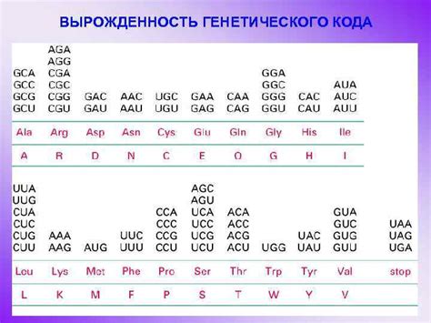 Расшифровка генетического кода