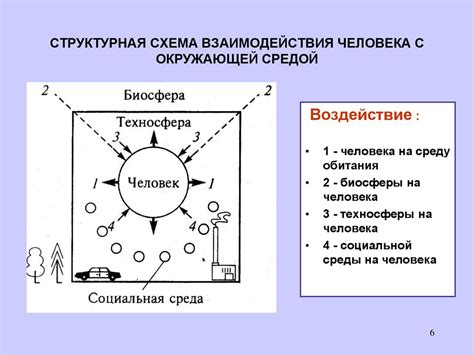 Реакции взаимодействия с окружающей средой