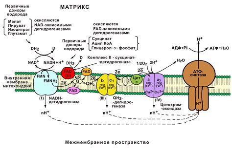 Реакции переноса электронов