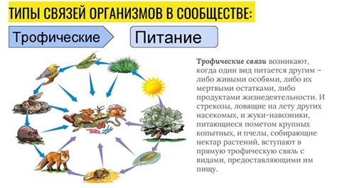 Реакция с окружающей средой