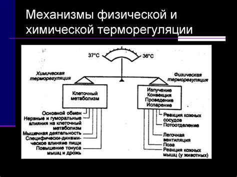 Реакция третьего вида: термическое взаимодействие