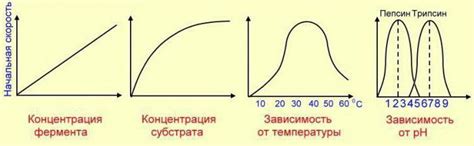 Регулировка температуры и скорости процесса