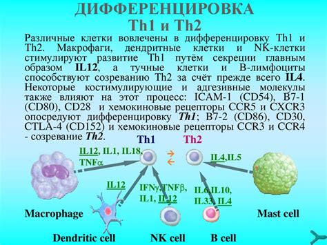 Регуляция иммунных ответов