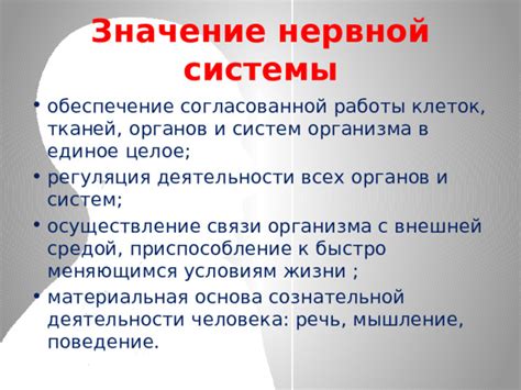 Регуляция работы органов и систем