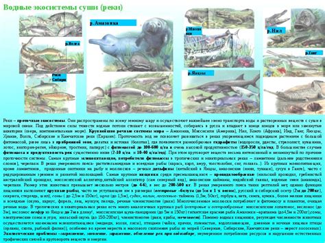 Редкие биомы и их особенности