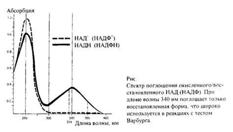 Результаты исследования активности ферментов