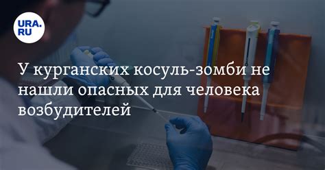 Результаты последних исследований НИИ