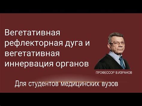 Рефлекторная иннервация