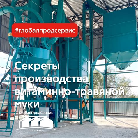 Рецепт приготовления травяных кормов