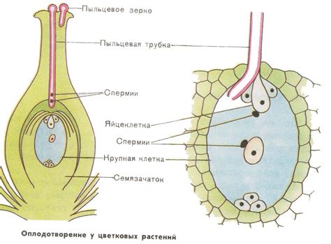 Решеточная структура