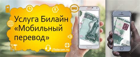 Риски связанные с предоставлением номера телефона для перевода денег