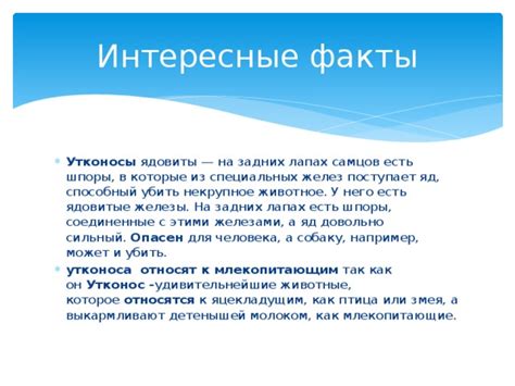 Роковое оружие самцов: ядовитые железы на лапах