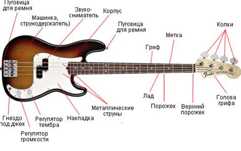 Роли гитары и бас-гитары в создании рифов