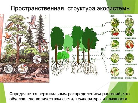 Роль ФККО в экологической сфере