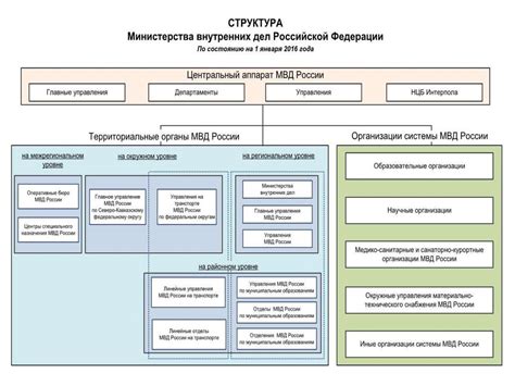 Роль Федерального министерства внутренних дел России