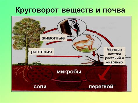 Роль аргона в природе