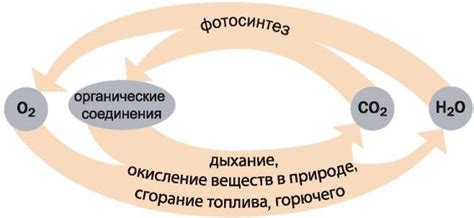 Роль влаги и кислорода в окислительном процессе