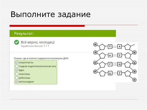 Роль генетического ряда активного металла в химических реакциях