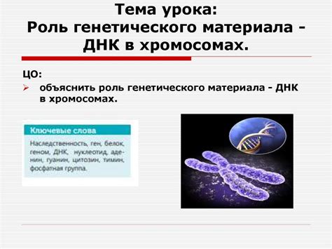 Роль генетического ряда в образовании металлических веществ