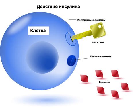 Роль глюкозы в организме: