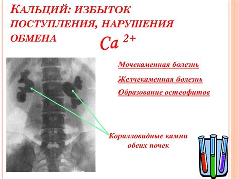 Роль двухатомных металлов в биологии