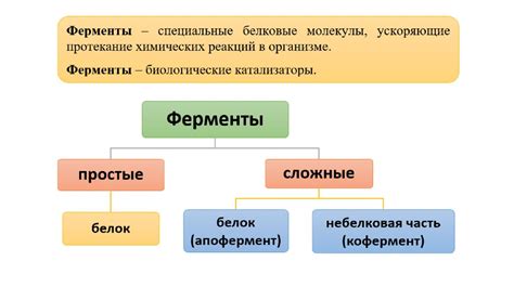 Роль ионообмена в активации ферментов