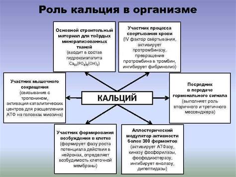 Роль кальция в биохимии и медицине