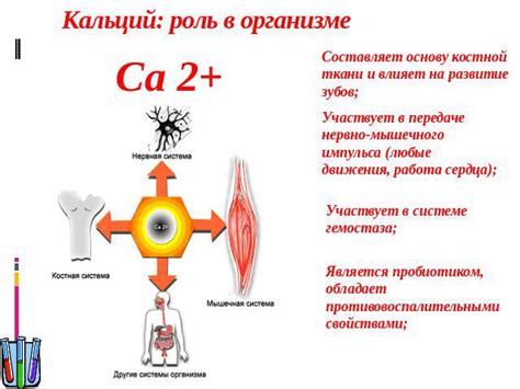 Роль карбонилов металлов в развитии заболеваний