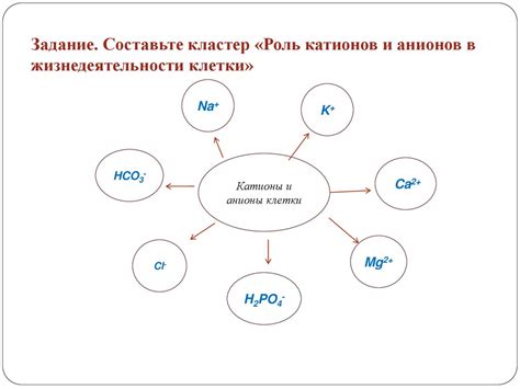 Роль катионов металла и анионов кислотного остатка в химических реакциях