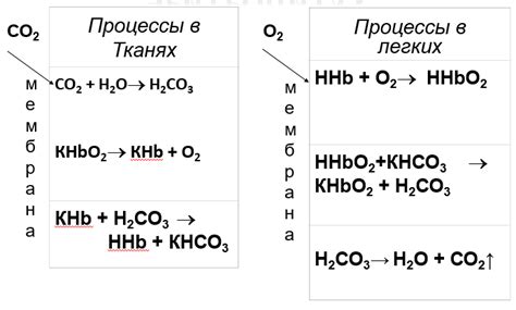 Роль кислорода и факторы, влияющие на механизм оксидирования